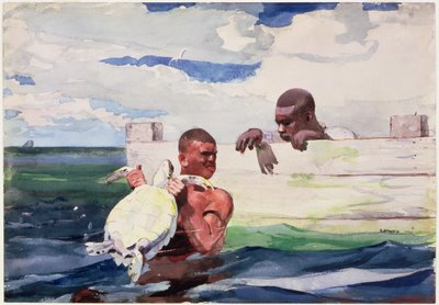 The Turtle Pound, 1898 by Winslow Homer